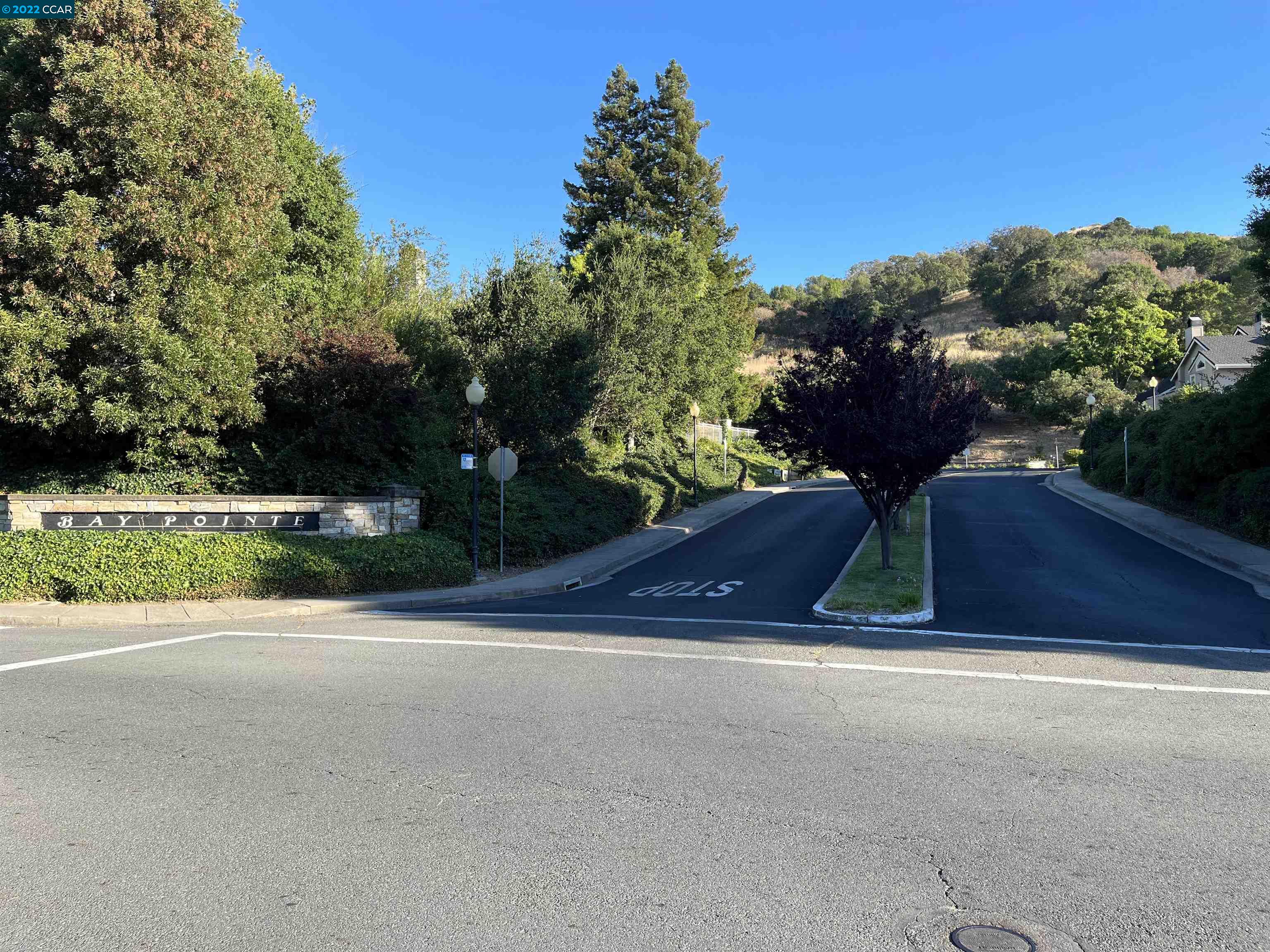 a view of backyard with plants and trees
