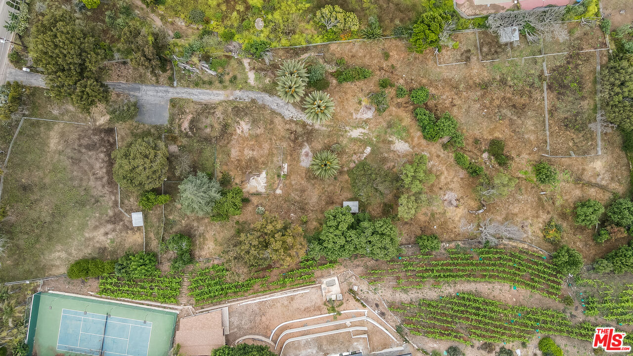 29756 Cuthbert Road Malibu, CA 90265 - Photo 7 of 11 a view of yard from outdoor seating
