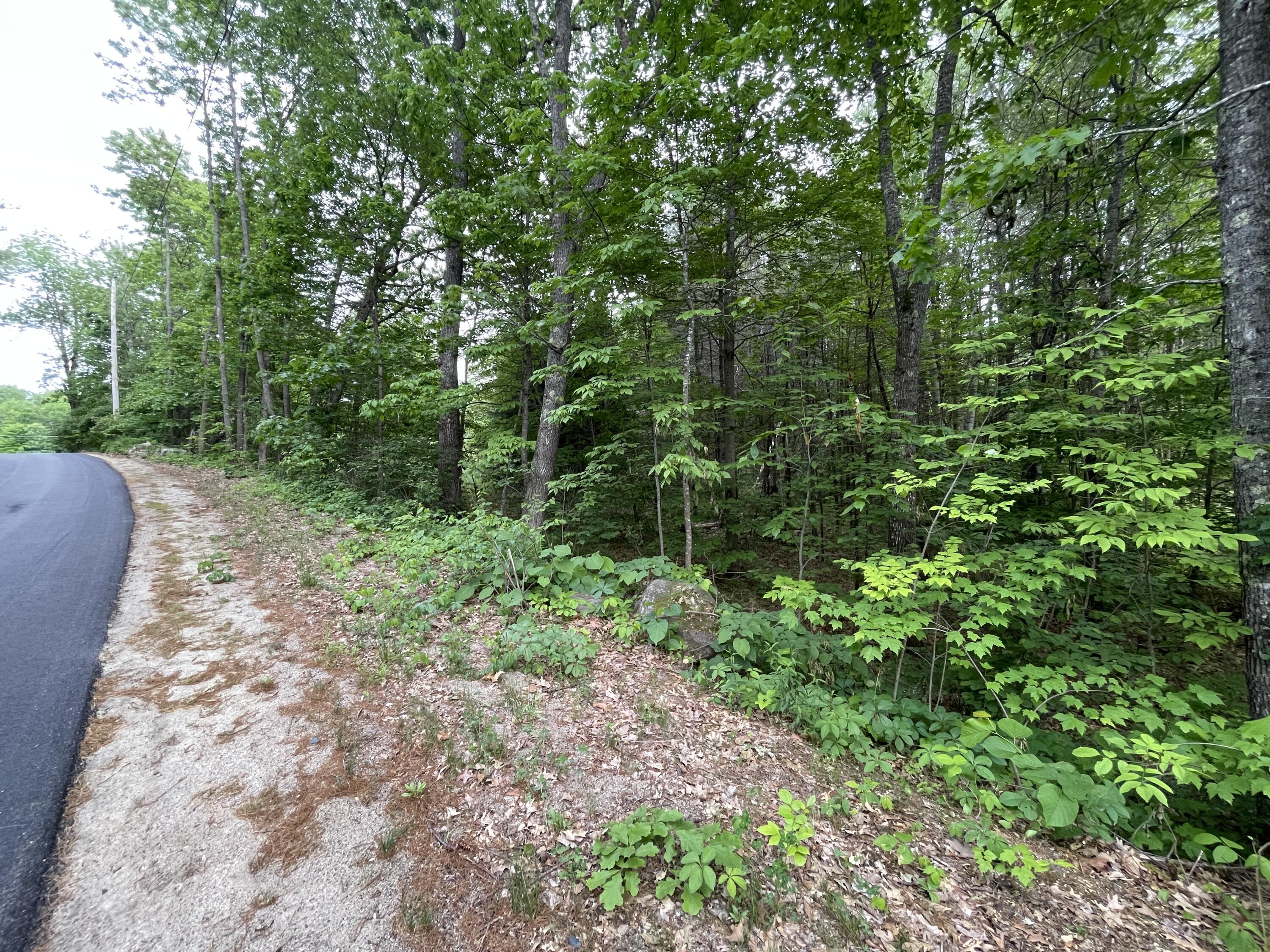 4 Conesca Road Raymond, ME 04071 - Photo 4 of 8 IMG-1088
