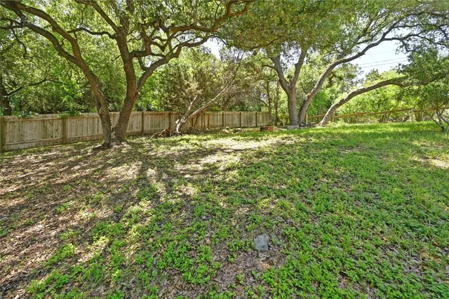 a view of a yard with plants and trees