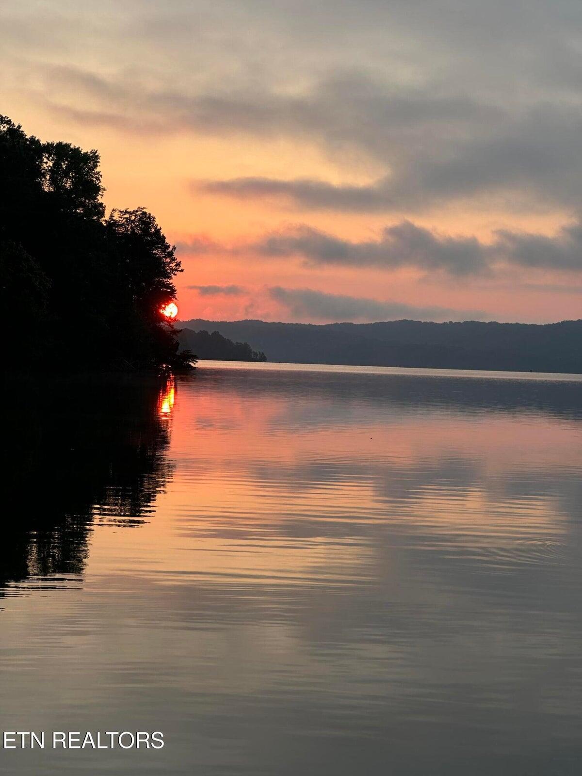 137 Lake Forest Lane Spring City, TN 37381 - Photo 32 of 43 32