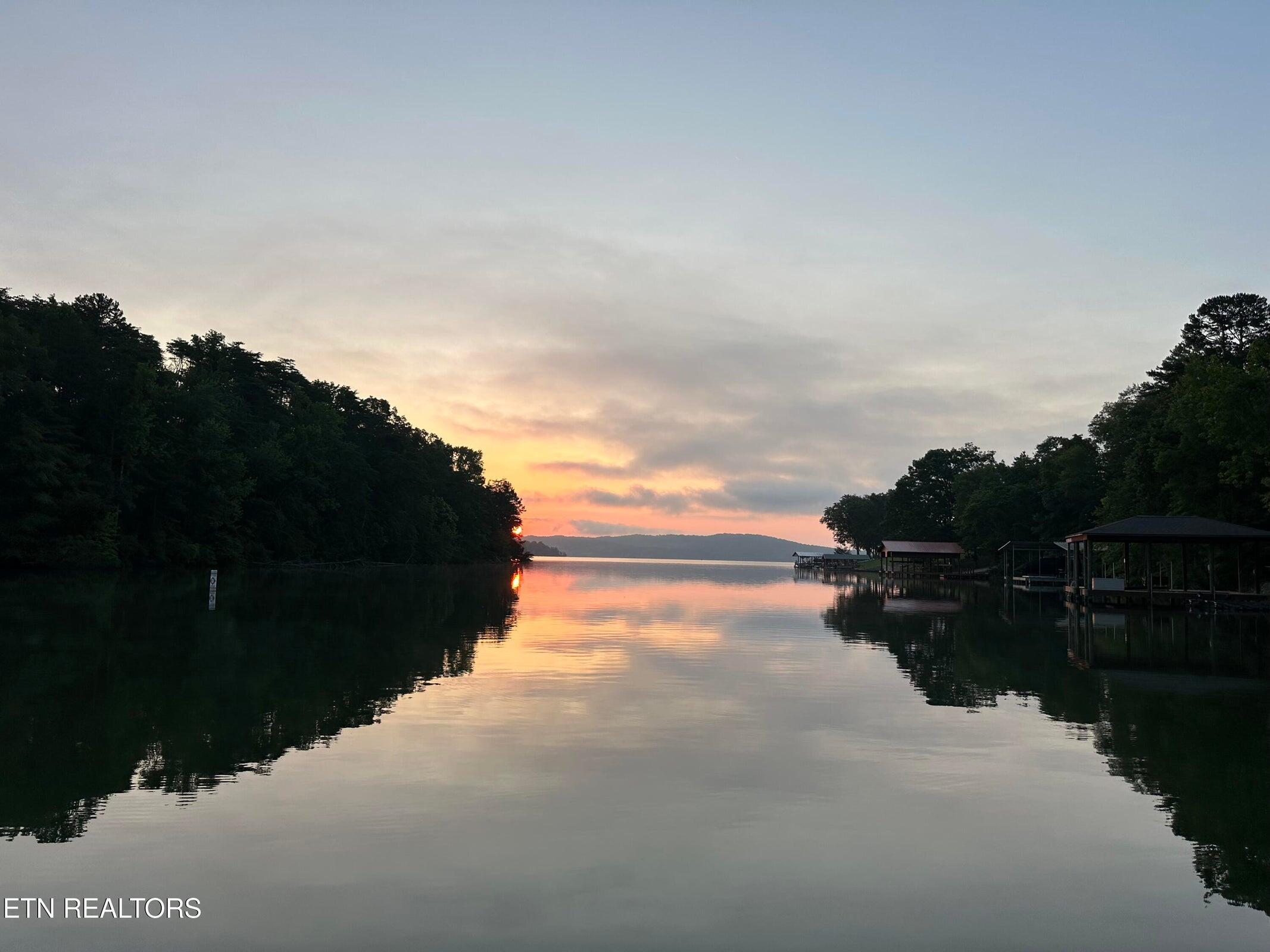 137 Lake Forest Lane Spring City, TN 37381 - Photo 33 of 43 33