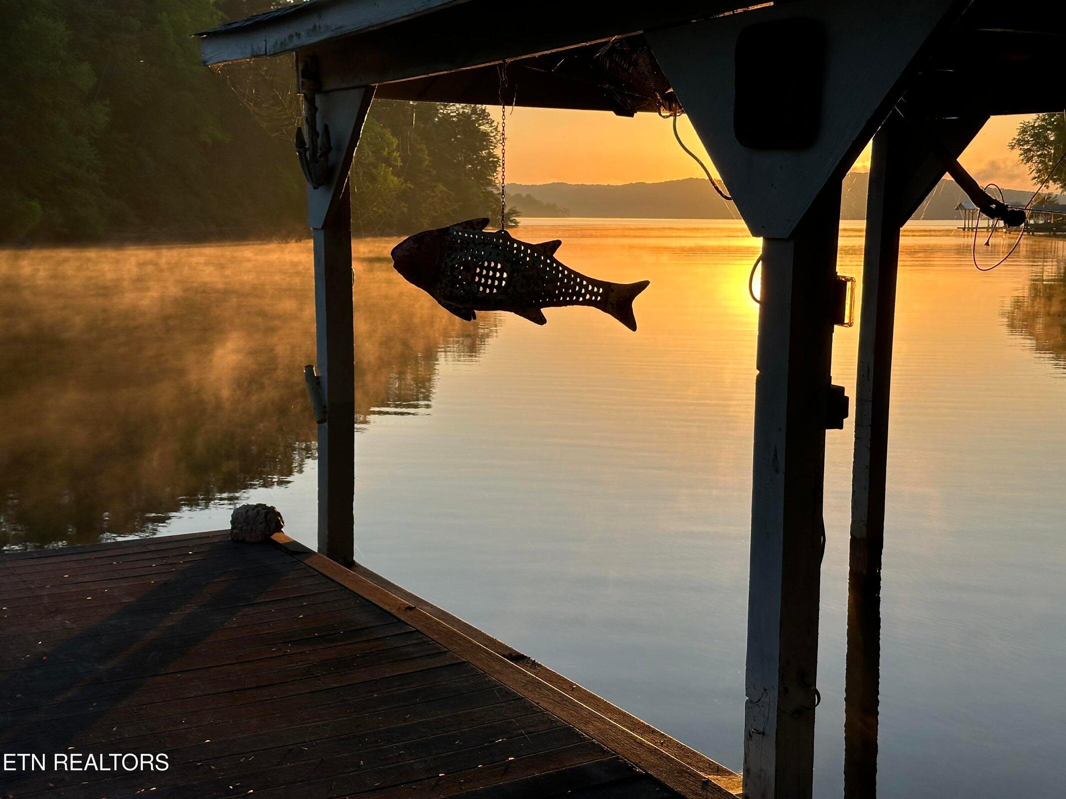 137 Lake Forest Lane Spring City, TN 37381 - Photo 36 of 43 36