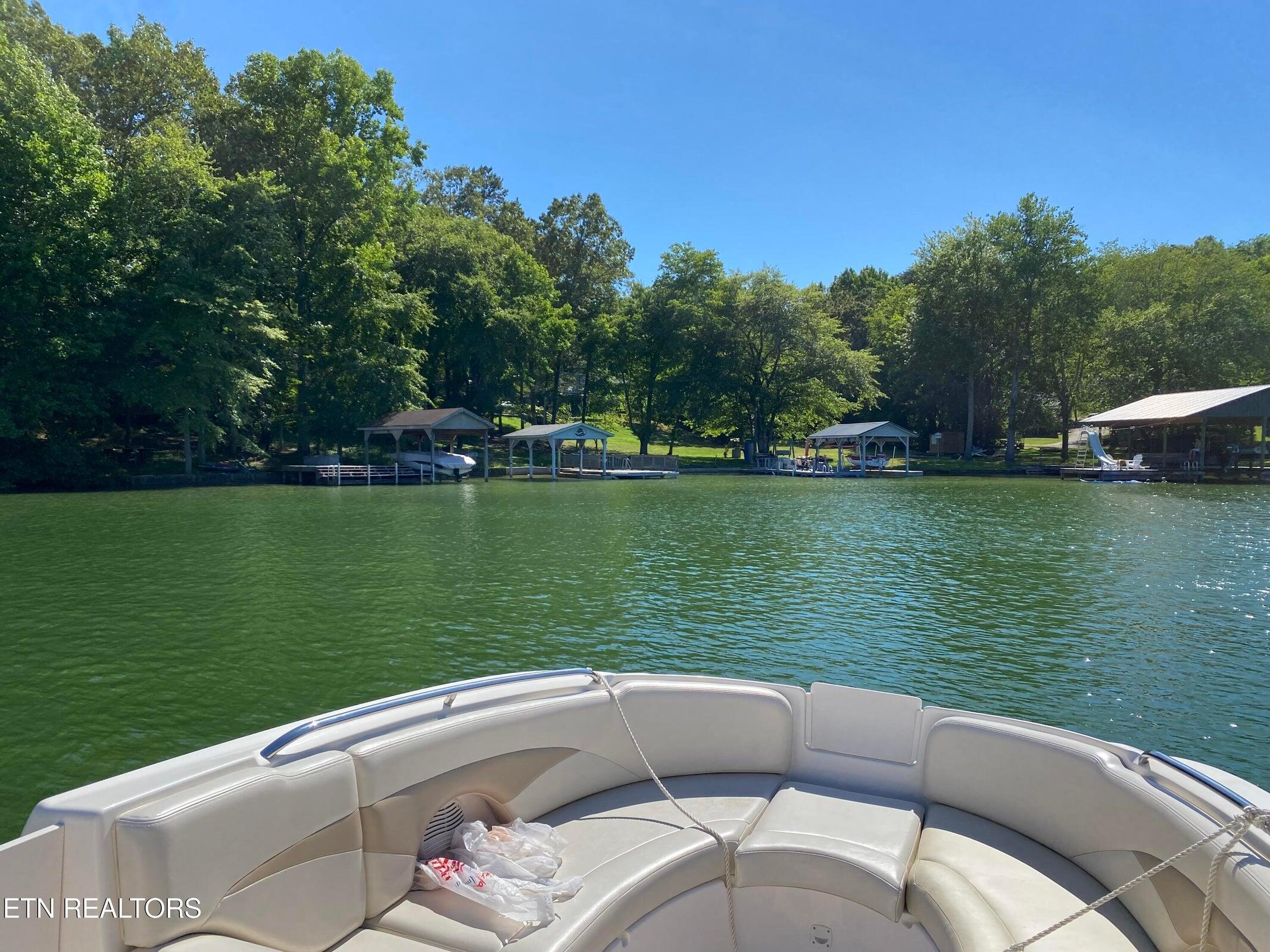 137 Lake Forest Lane Spring City, TN 37381 - Photo 40 of 43 40