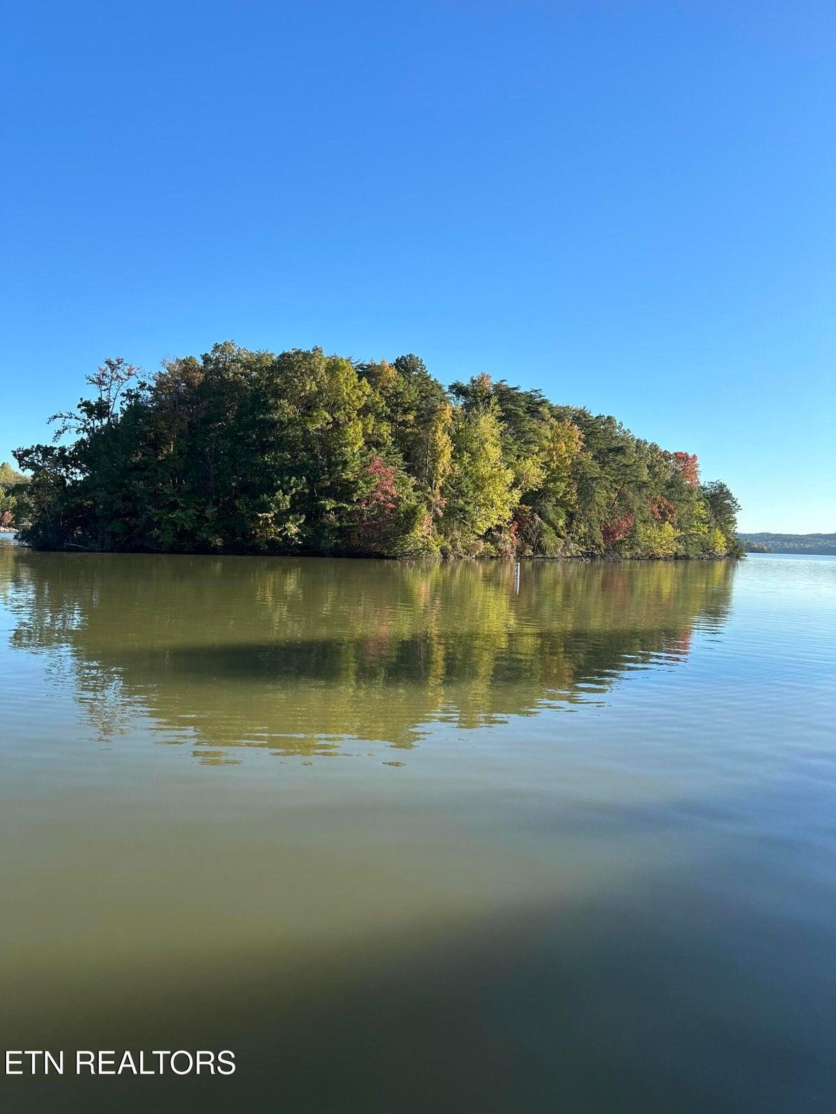 137 Lake Forest Lane Spring City, TN 37381 - Photo 42 of 43 42