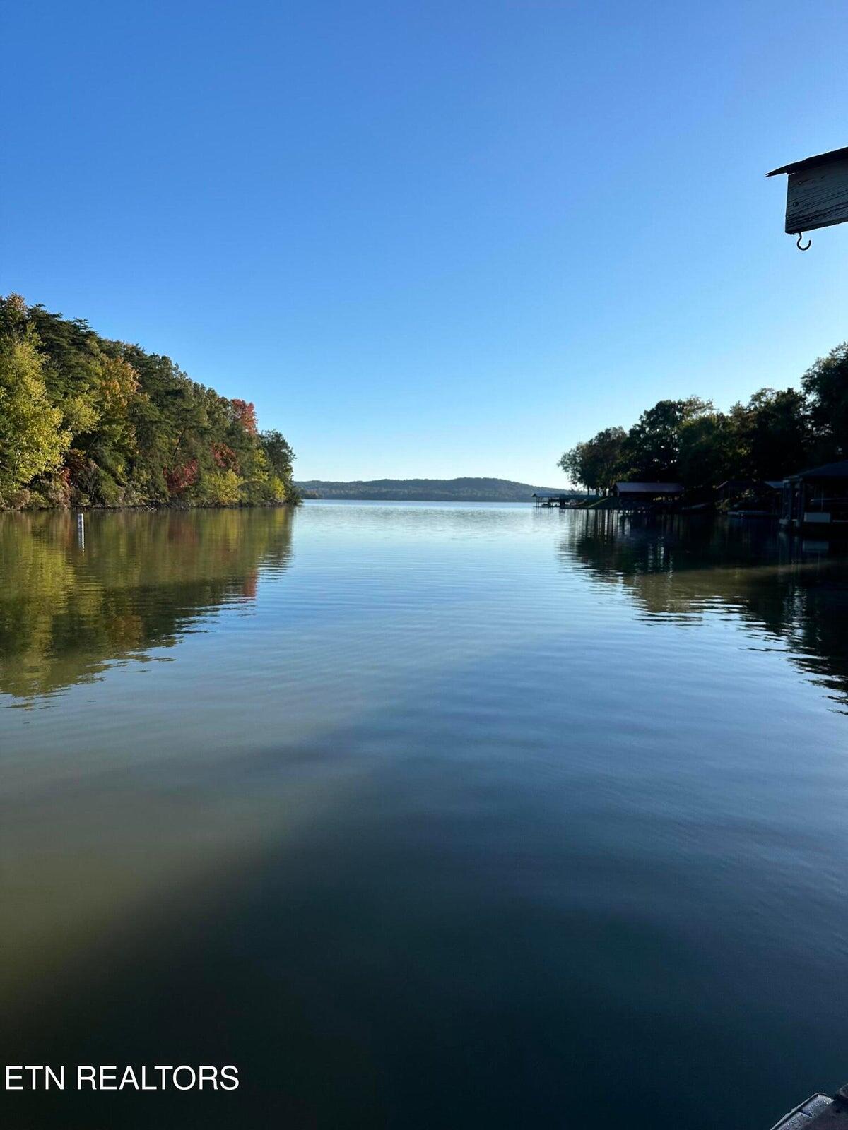 137 Lake Forest Lane Spring City, TN 37381 - Photo 43 of 43 43