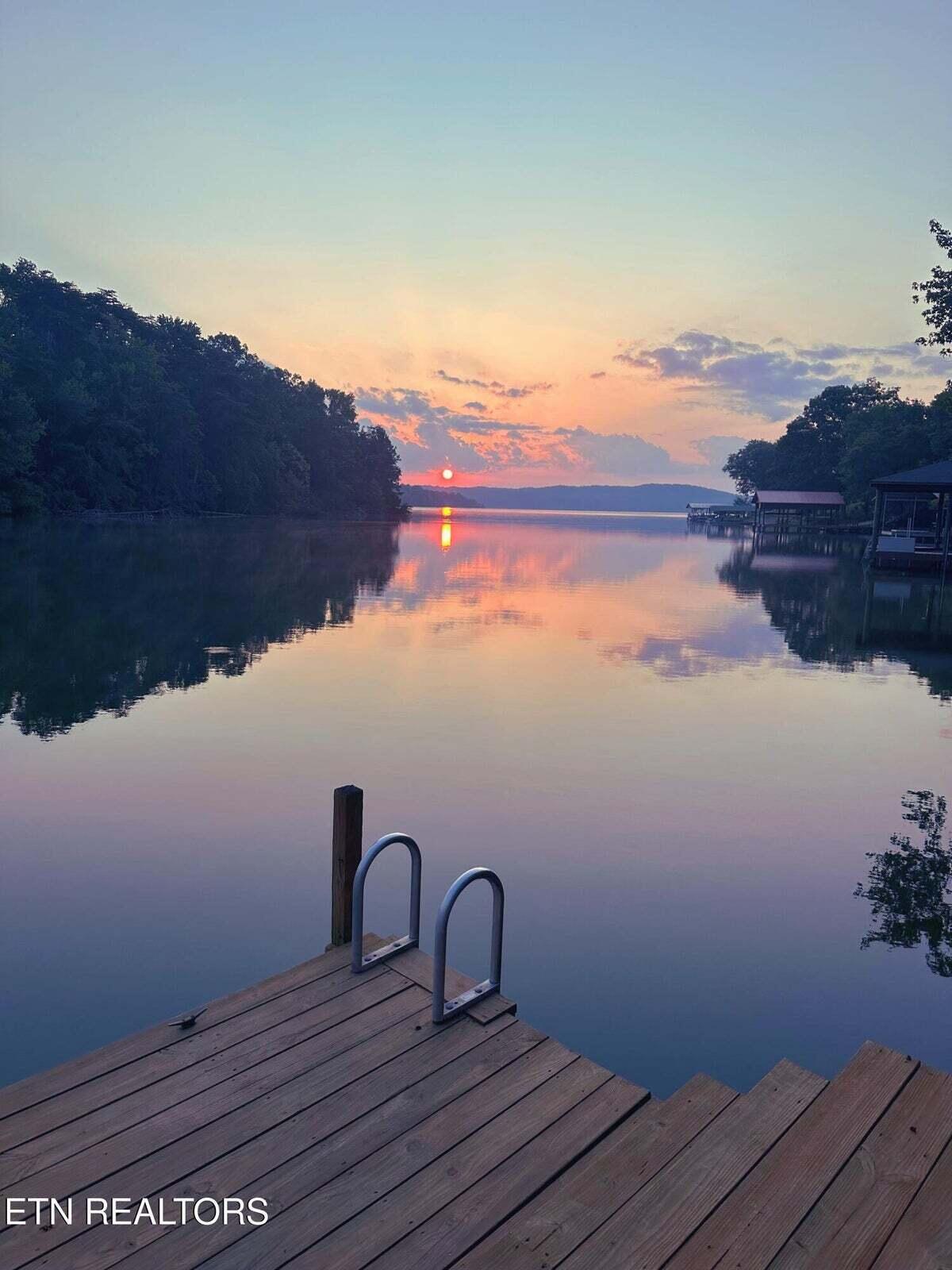 137 Lake Forest Lane Spring City, TN 37381 - Photo 5 of 43 5