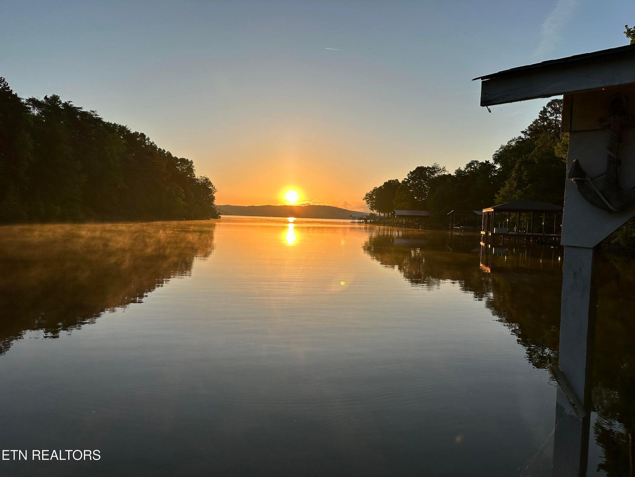 137 Lake Forest Lane Spring City, TN 37381 - Photo 6 of 43 6