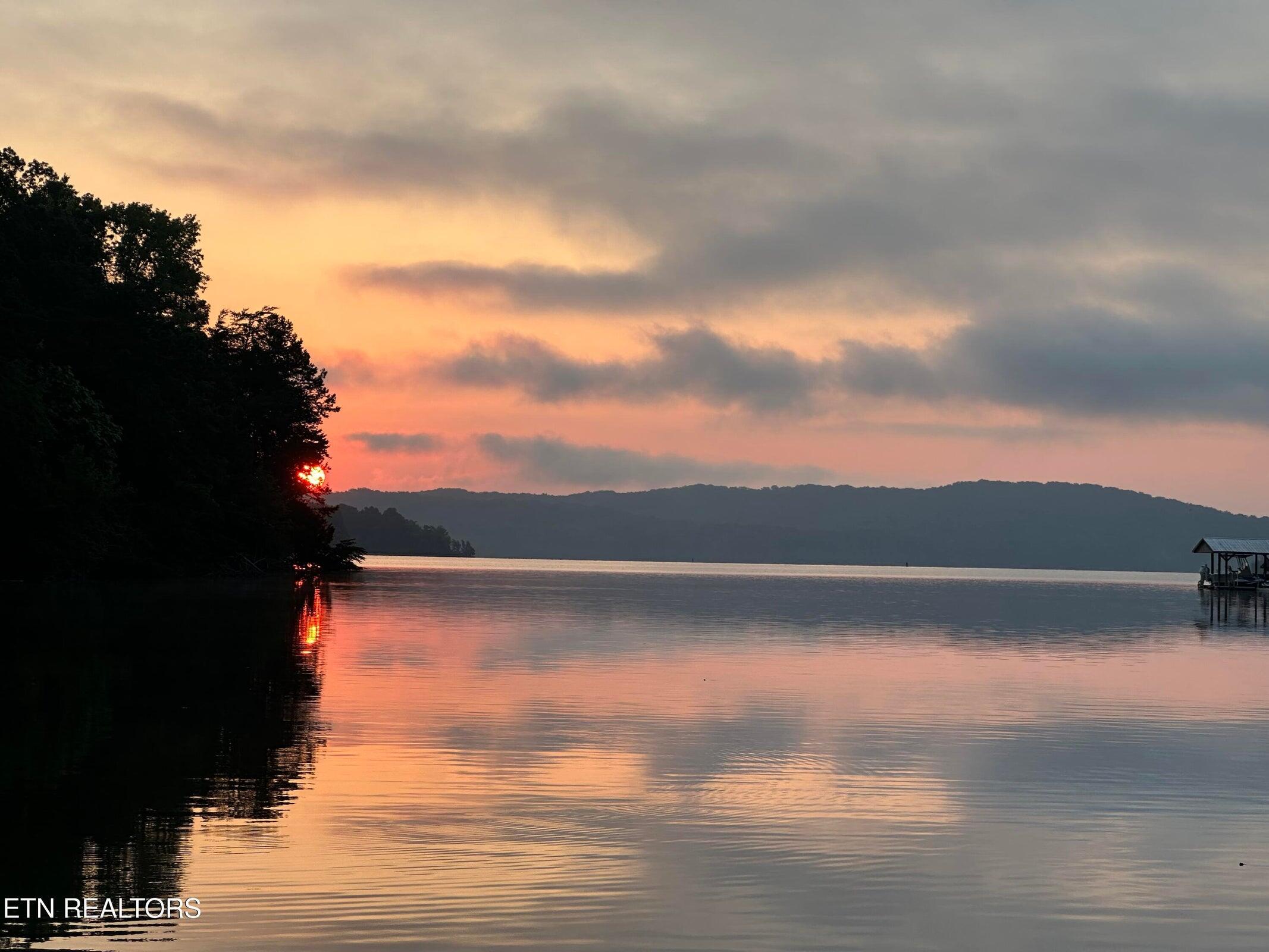 137 Lake Forest Lane Spring City, TN 37381 - Photo 9 of 43 9