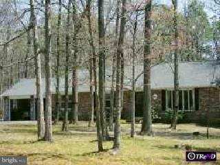 19 Tin House Road Medford, NJ 08055 - Photo 1 of 1 Gallery Image 1