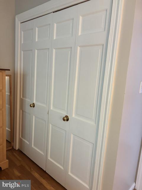 608 6th Place Southwest Washington, DC 20024 - Photo 62 of 65 Classic double doors in soft white.