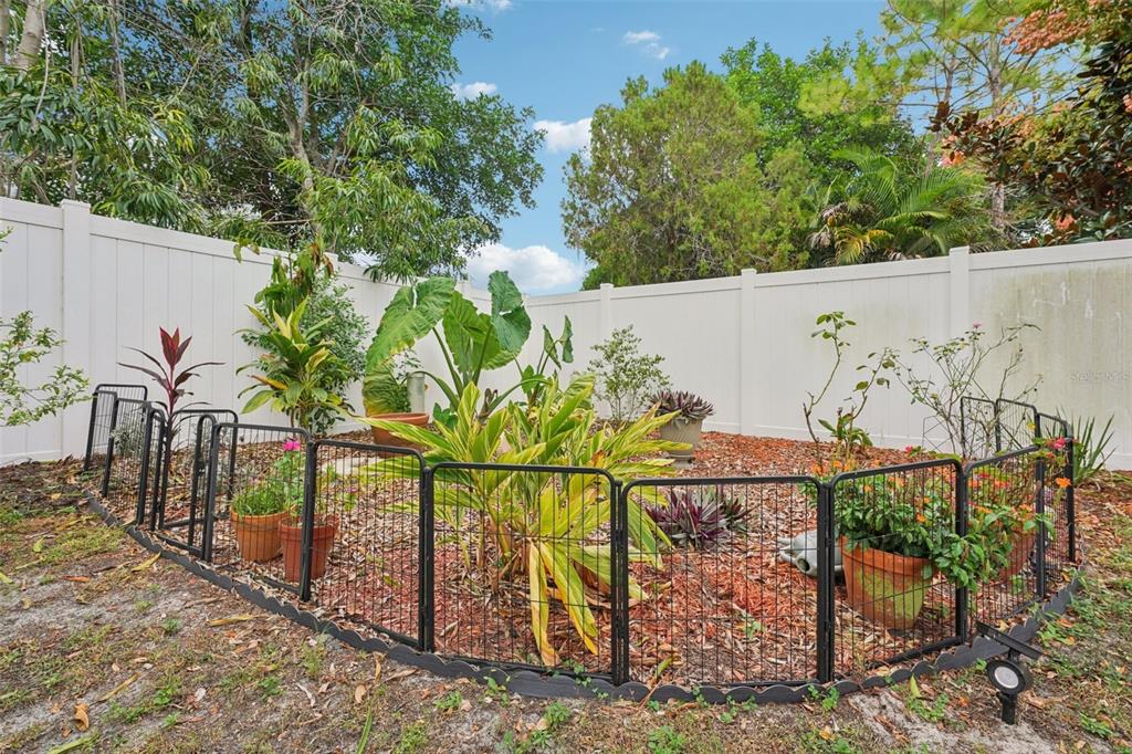 1118 Carlton Road Tarpon Springs, FL 34689 - Photo 41 of 62 a view of outdoor space and yard