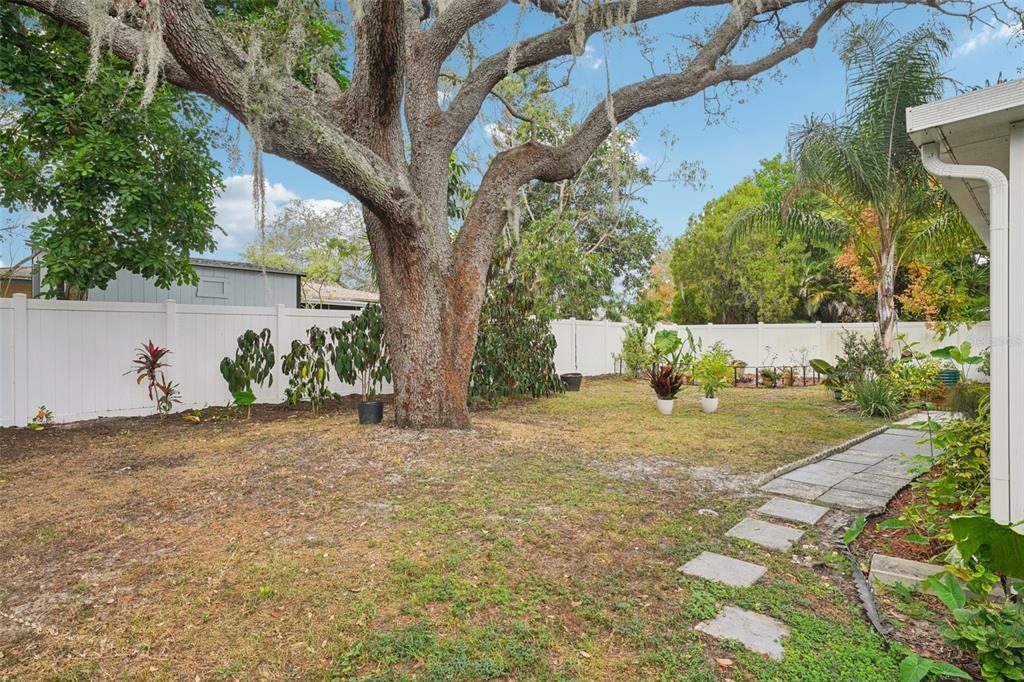 1118 Carlton Road Tarpon Springs, FL 34689 - Photo 47 of 62 a view of a yard with plants and a large tree
