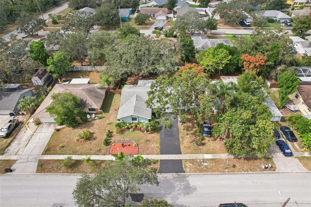 1118 Carlton Road Tarpon Springs, FL 34689 - Photo 53 of 62 an aerial view of residential house with outdoor space