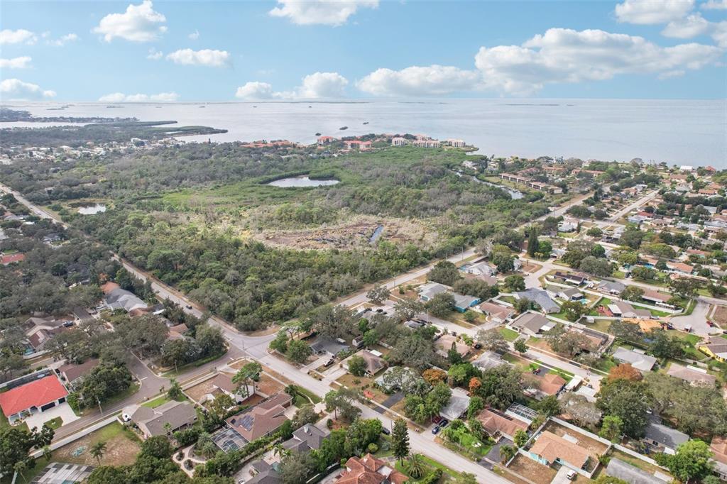 1118 Carlton Road Tarpon Springs, FL 34689 - Photo 57 of 62 an aerial view of residential building and trees around
