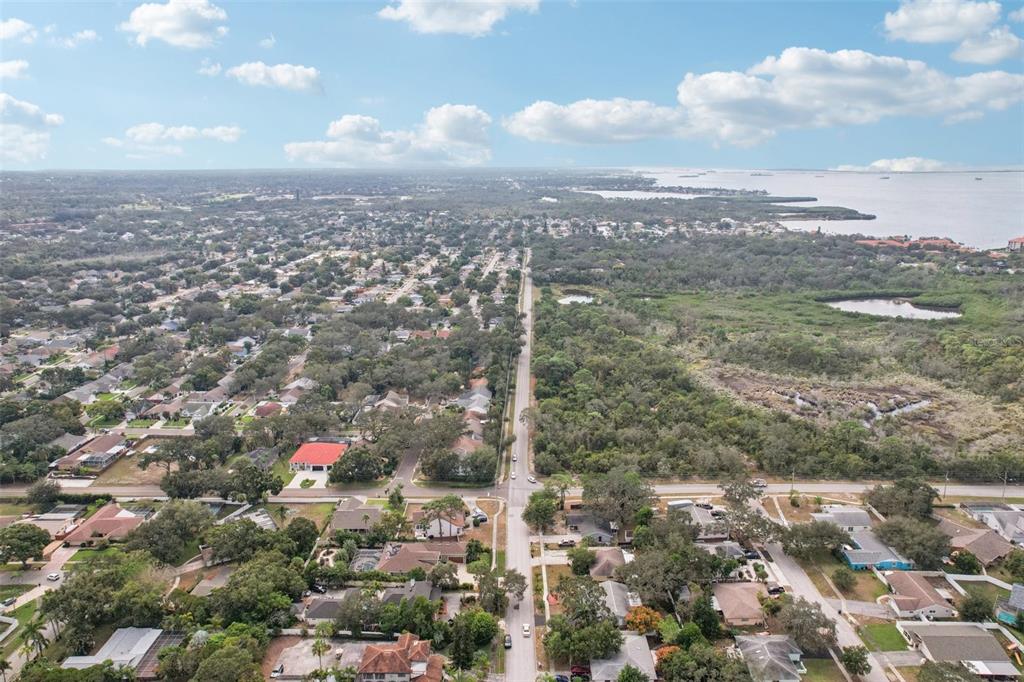 1118 Carlton Road Tarpon Springs, FL 34689 - Photo 61 of 62