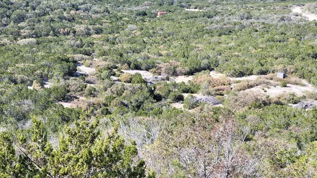 a view of a bunch of trees and bushes