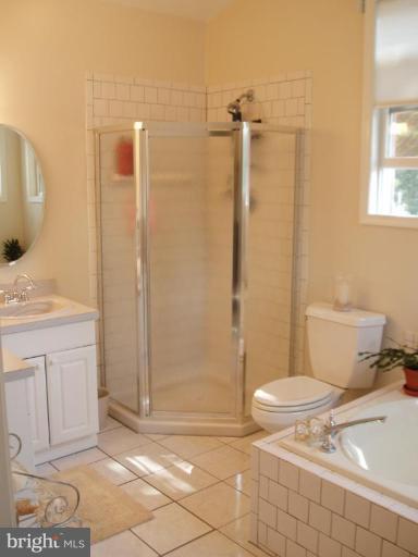 444 Riverside Drive Pasadena, MD 21122 - Photo 10 of 27 MBR Bath has separate Shower.