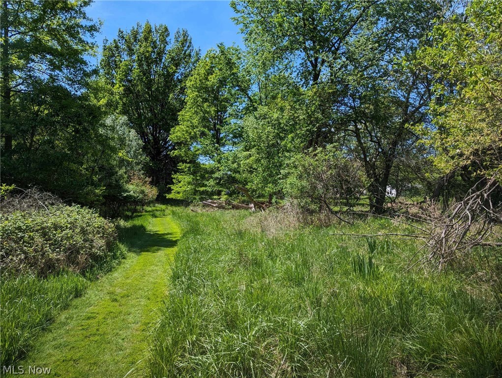 V/l Trebisky Road Cleveland, OH 44143 - Photo 8 of 16