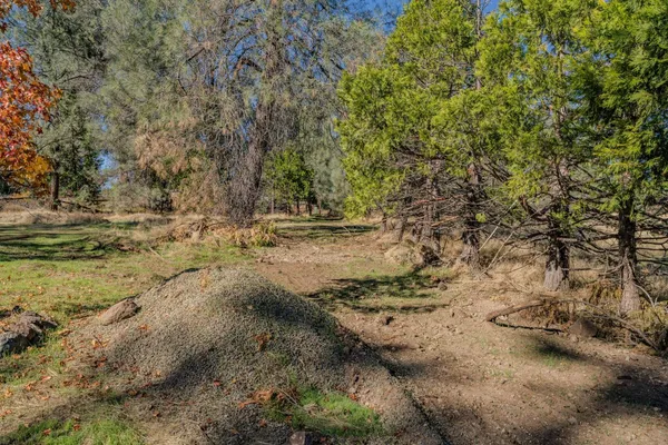 a view of a field with trees in the background