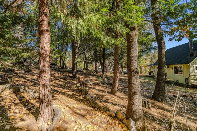 $290,000 | 24060 Gold Cir Drive, Pioneer, CA 95666