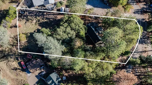 a view of a tree in a yard