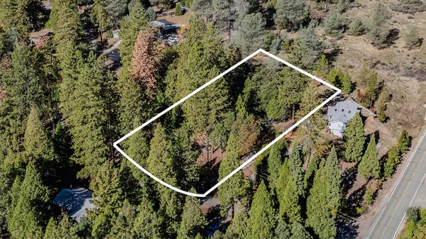 $290,000 | 24060 Gold Cir Drive, Pioneer, CA 95666