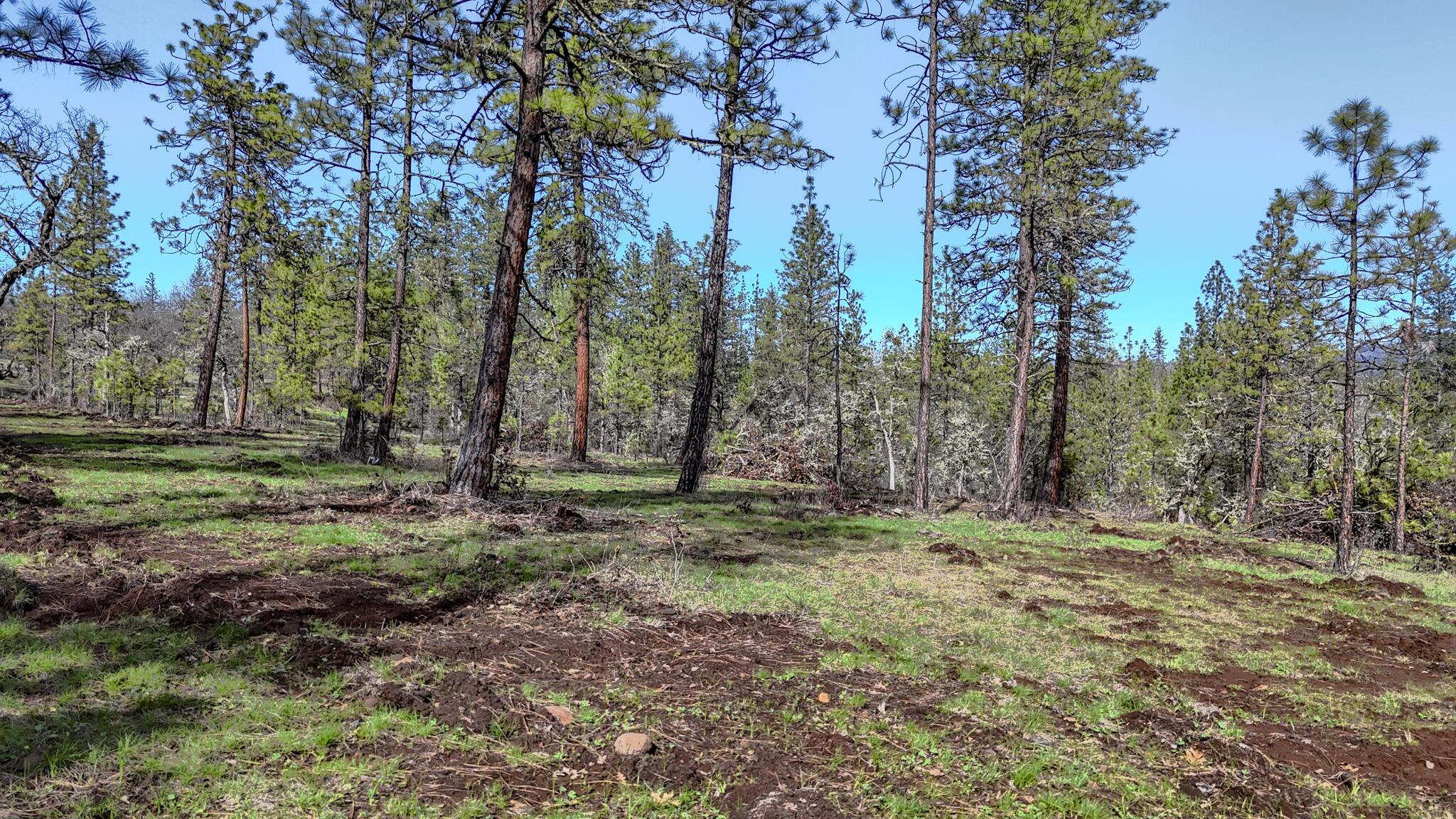 506 Greenleaf Drive Eagle Point, OR 97524 - Photo 35 of 38 DJI_20260227141651_0589_D-HDR