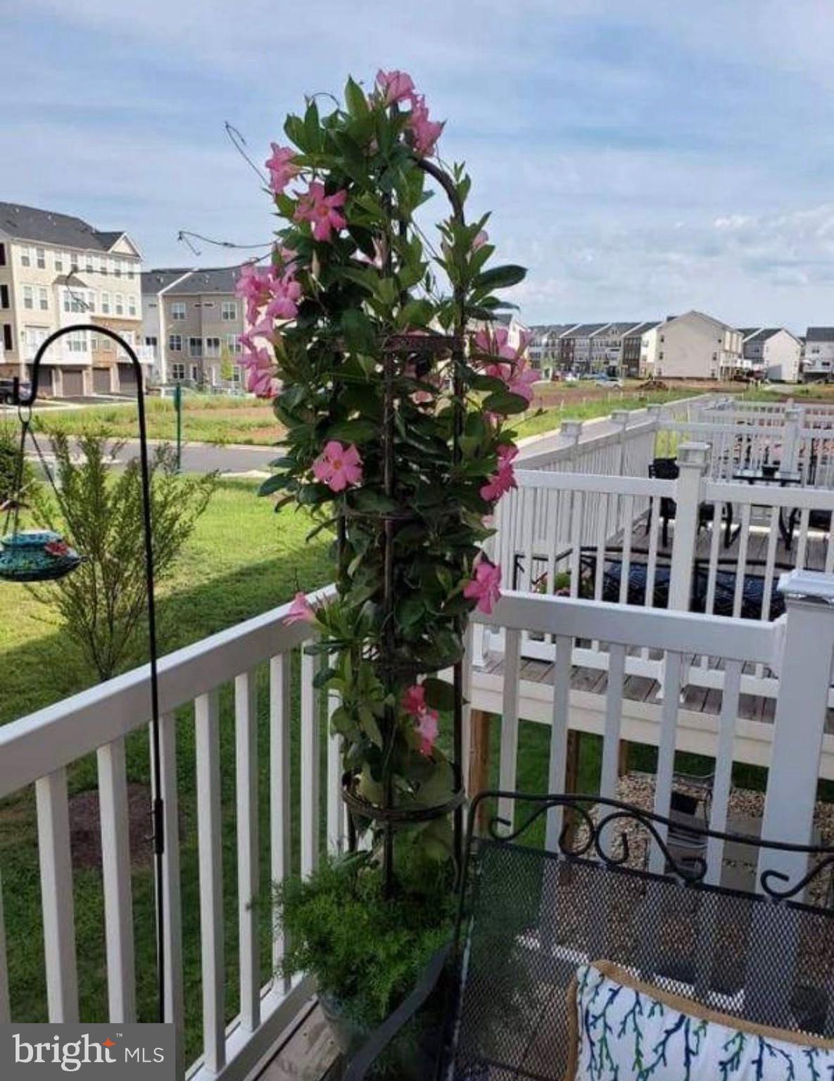 5914 Forum Square Frederick, MD 21703 - Photo 11 of 17