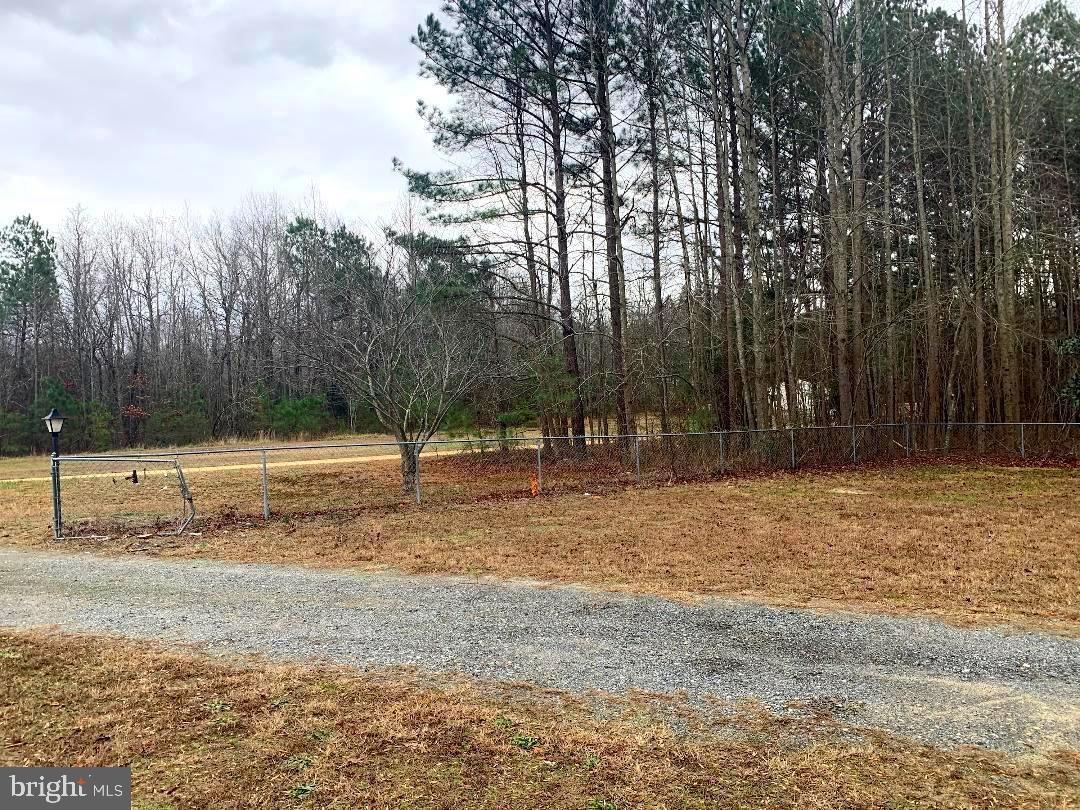 7164 Laurel Grove Road Preston, MD 21655 - Photo 23 of 28 View from front door