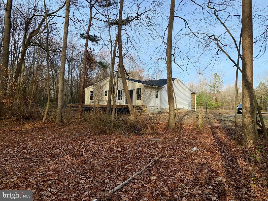 7164 Laurel Grove Road Preston, MD 21655 - Photo 27 of 28 View from wooded acreage