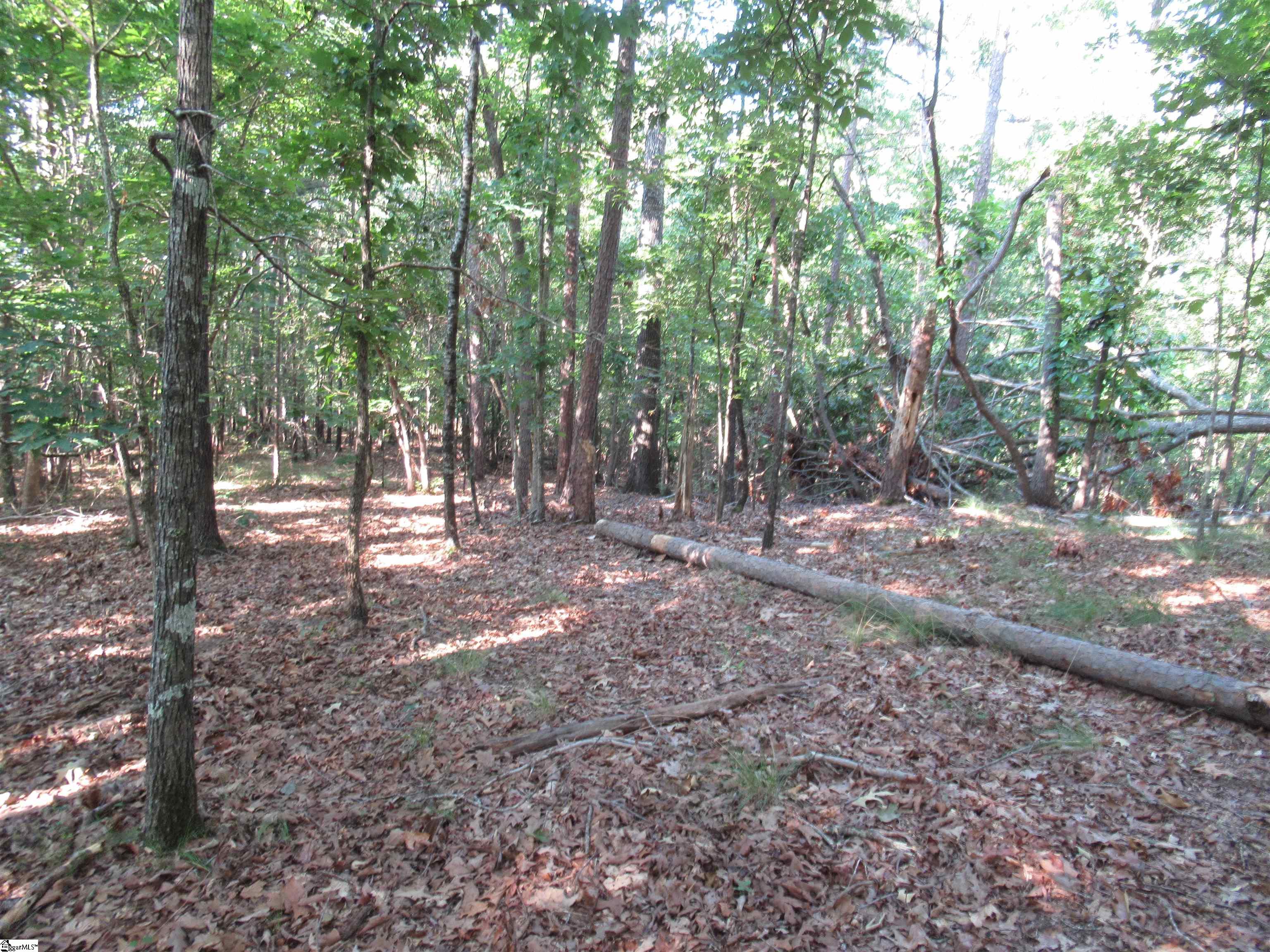 0 Murphy Road, Unit 3 2 ACRES S SIDE MURPHY RD Sunset, SC 29685 - Photo 13 of 20
