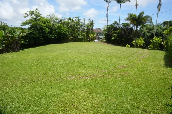 a view of a green yard with a house