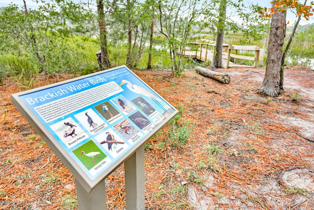 1209 Middle Sound Loop Road Wilmington, NC 28411 - Photo 56 of 70 PagesCreekPreserve-08