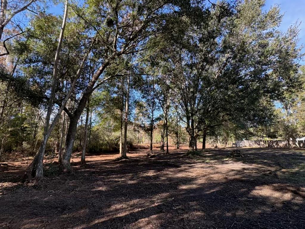 Hammock Loop Polk City, FL 33868 - Photo 2 of 7