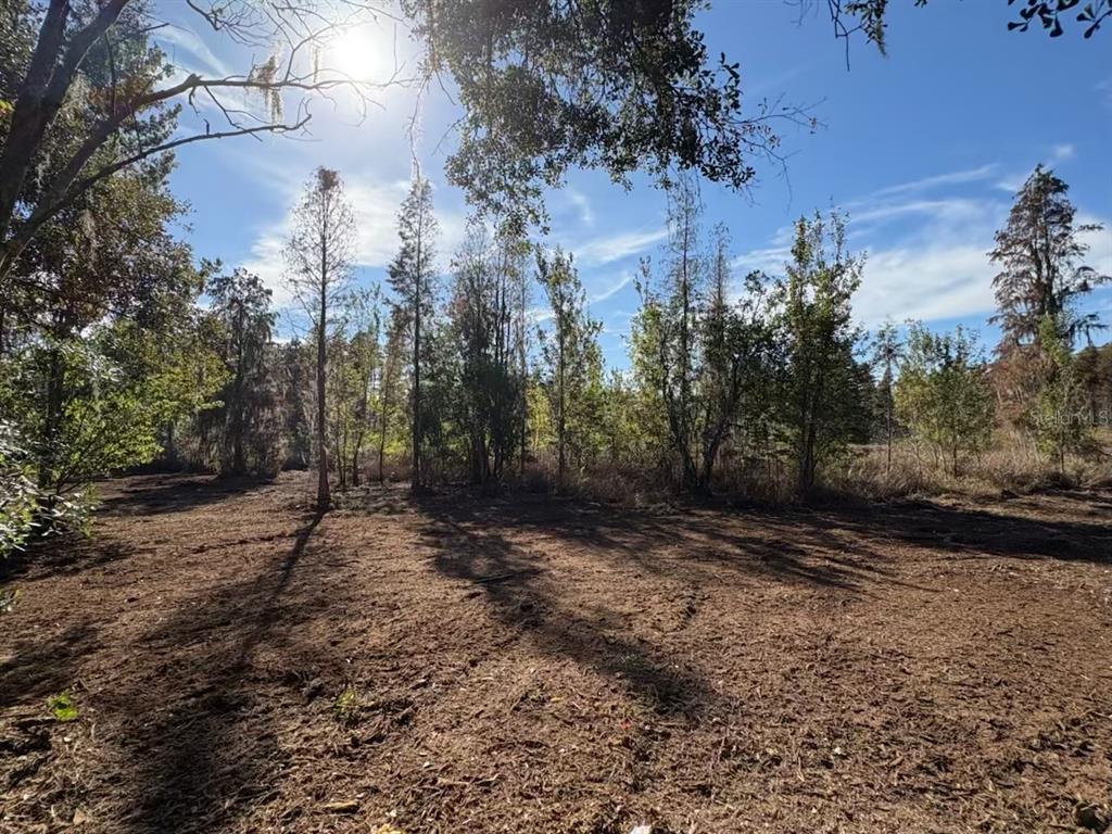 Hammock Loop Polk City, FL 33868 - Photo 6 of 7