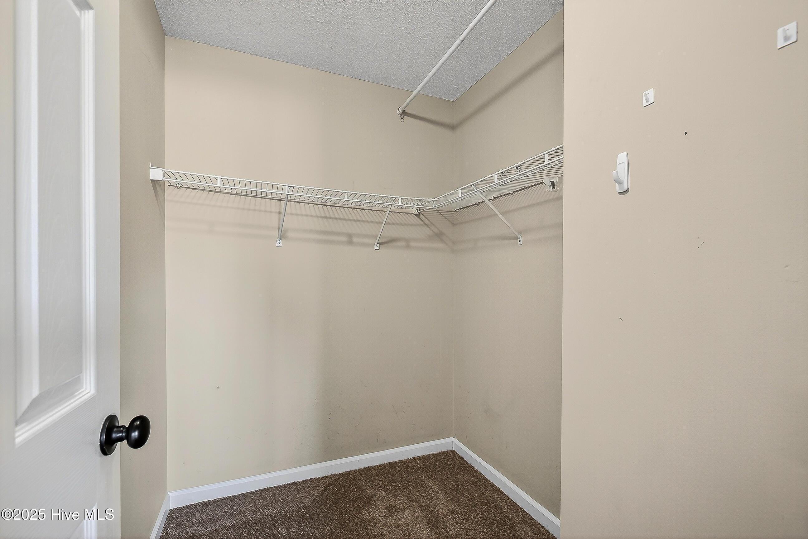 447 Dion Drive Hubert, NC 28539 - Photo 17 of 29 17