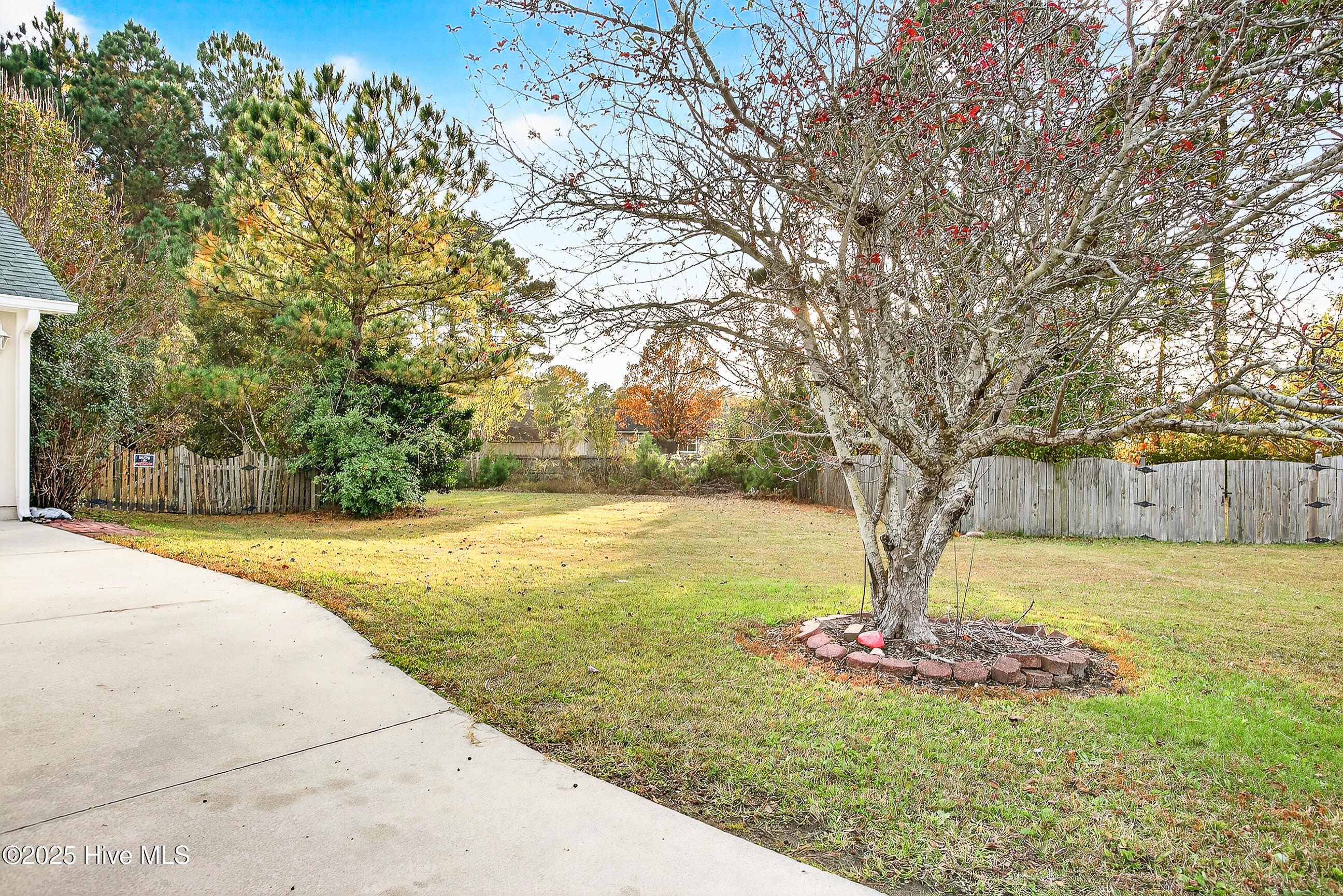 447 Dion Drive Hubert, NC 28539 - Photo 27 of 29 27