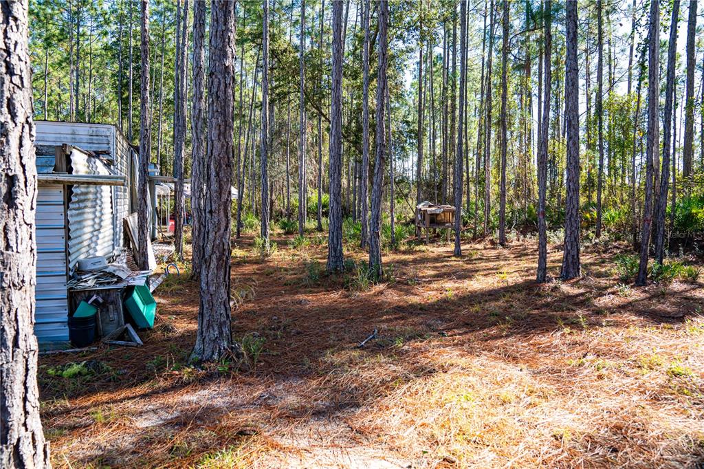 132 Nutmeg Trail Interlachen, FL 32148 - Photo 76 of 100