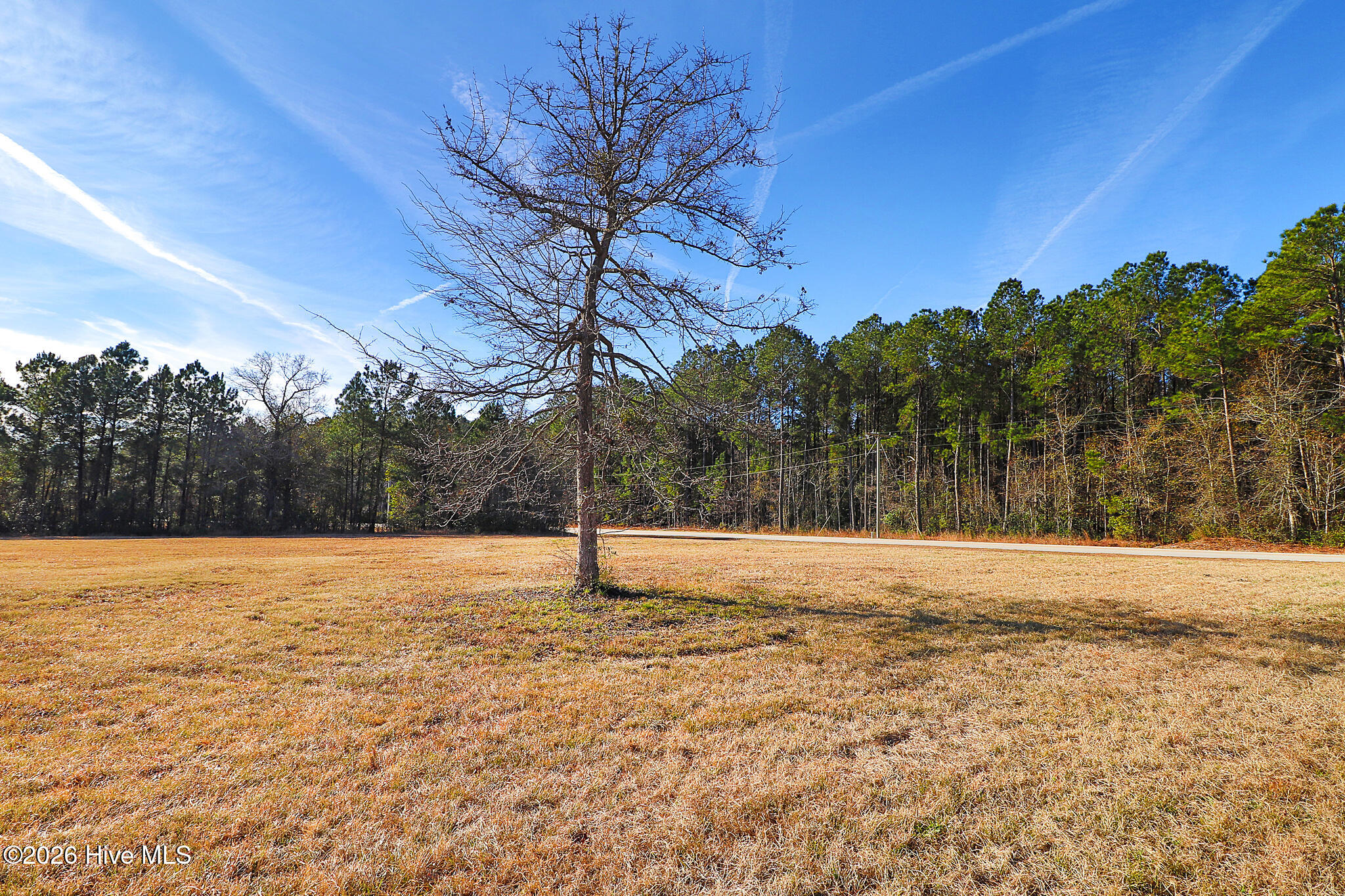 102 Mill Landing Point Road Newport, NC 28570 - Photo 12 of 15 Large lot in Mill Landing
