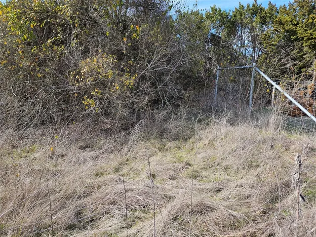 a view of a field of grass and trees