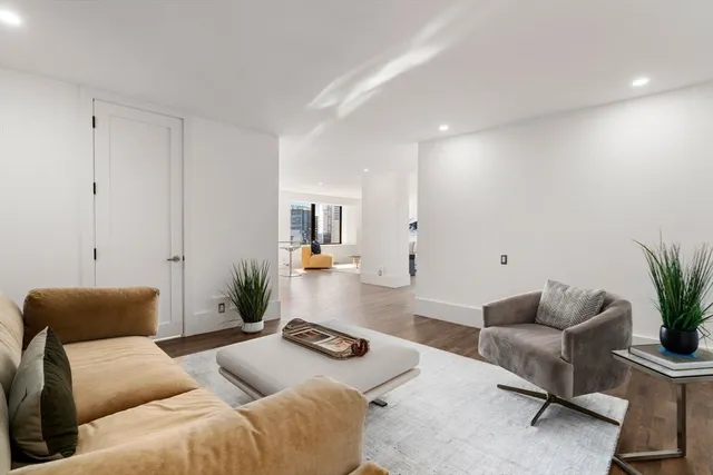 a living room with furniture and a potted plant