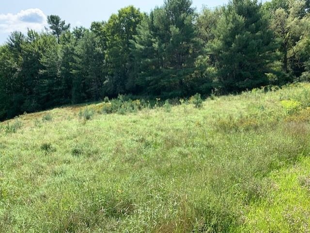 0 Littleton Road Monroe, NH 03771 - Photo 6 of 10 Gallery Image 6