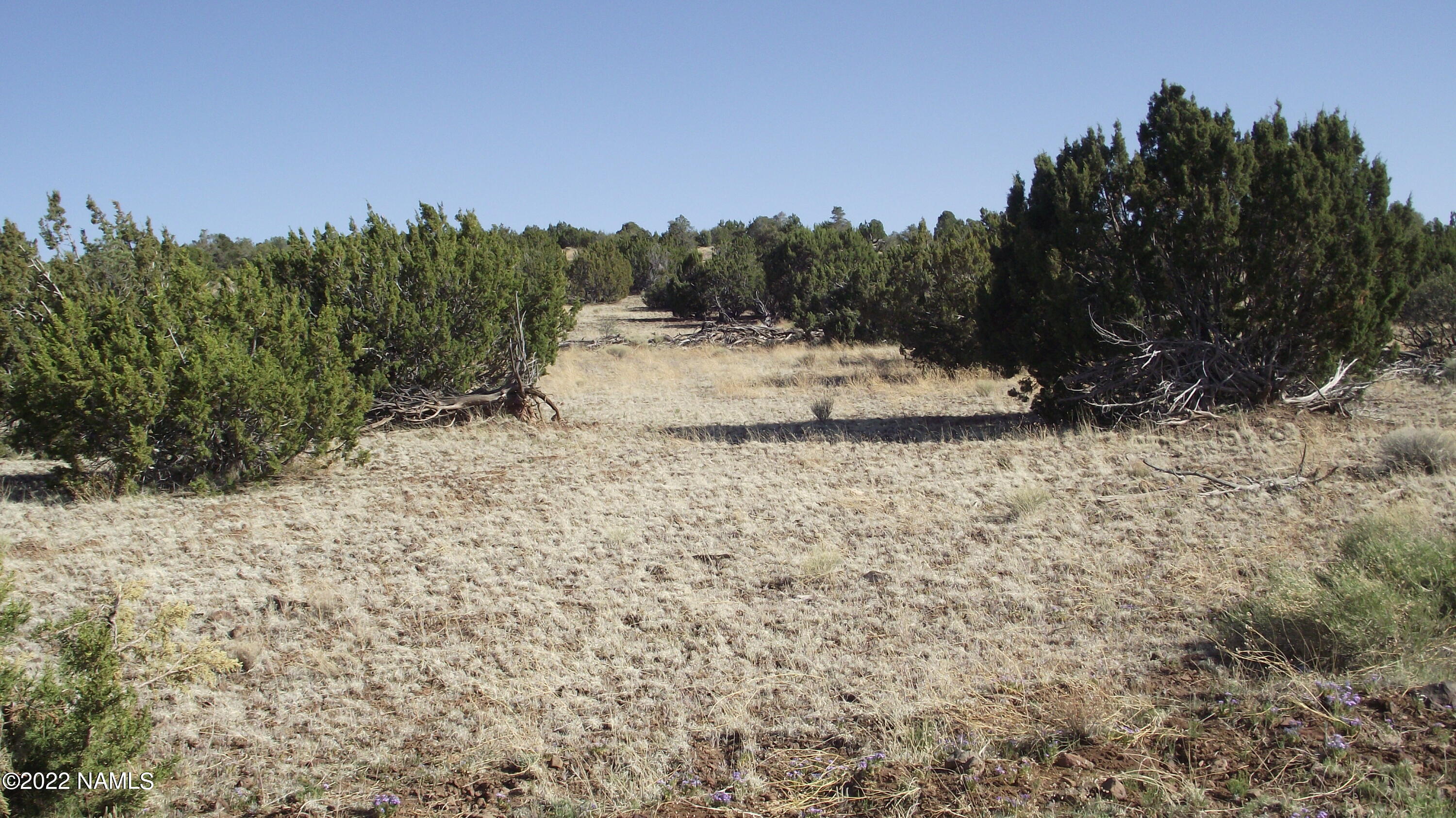 11839 Mesa View Road Williams, AZ 86046 - Photo 10 of 11 DSCF6303