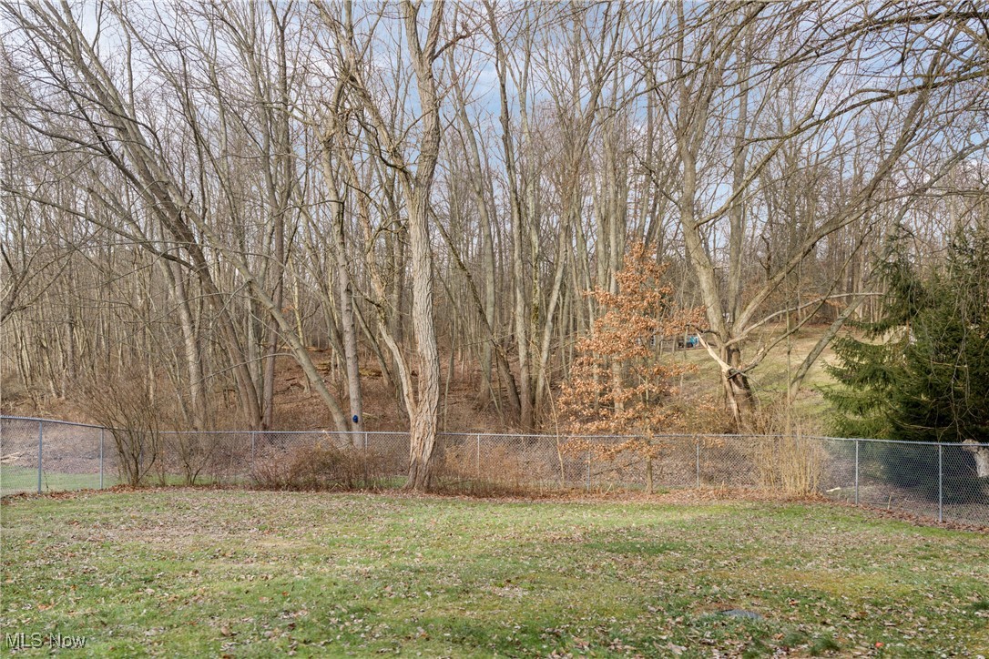 1541 Eastern Road Rittman, OH 44270 - Photo 29 of 34 Gallery Image 29