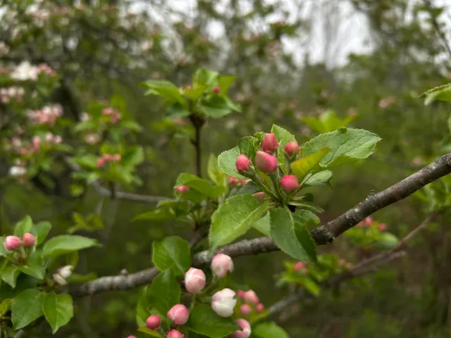$89,000 | 696 Lebanon Road, Winterport, ME 04496