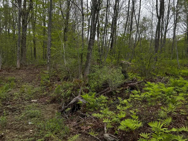 $89,000 | 696 Lebanon Road, Winterport, ME 04496