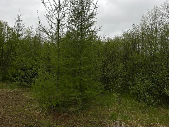 $89,000 | 696 Lebanon Road, Winterport, ME 04496