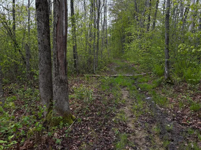 $89,000 | 696 Lebanon Road, Winterport, ME 04496