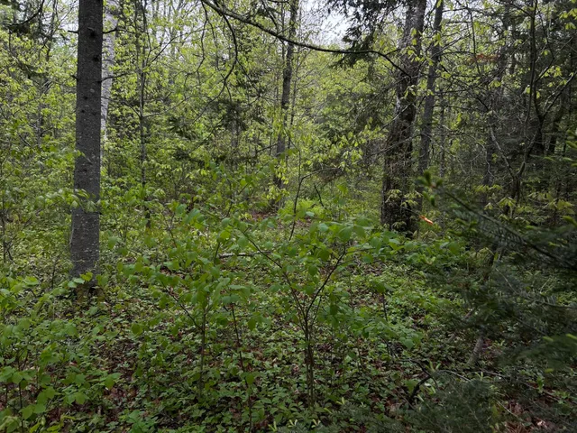 $89,000 | 696 Lebanon Road, Winterport, ME 04496